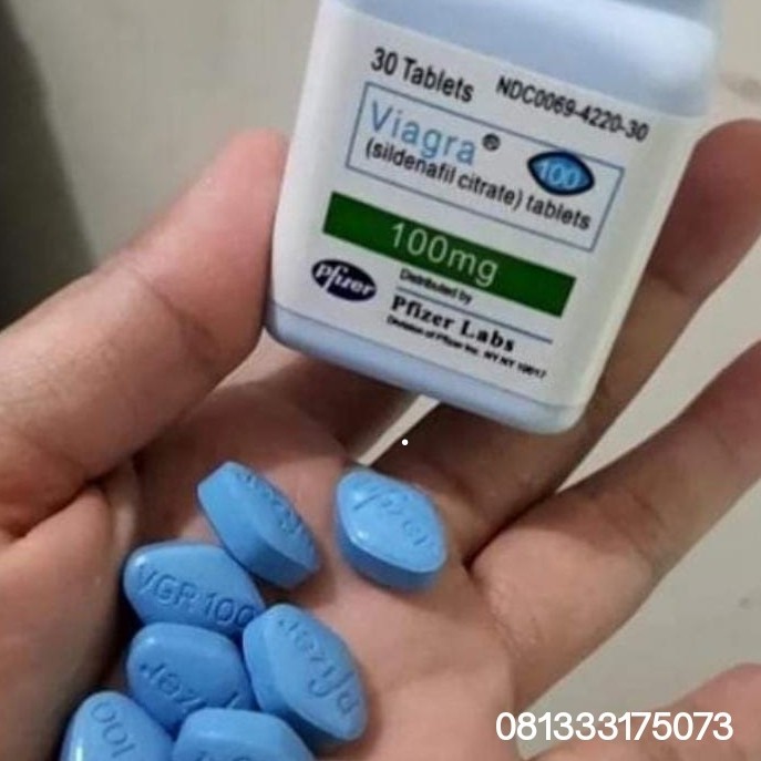 Toko Jual Viagra Asli Di Luwu 081333175073 COD Obat Kuat Viagra Di Luwu